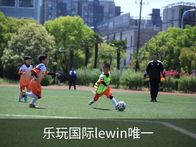 乐玩国际lewin唯一概况